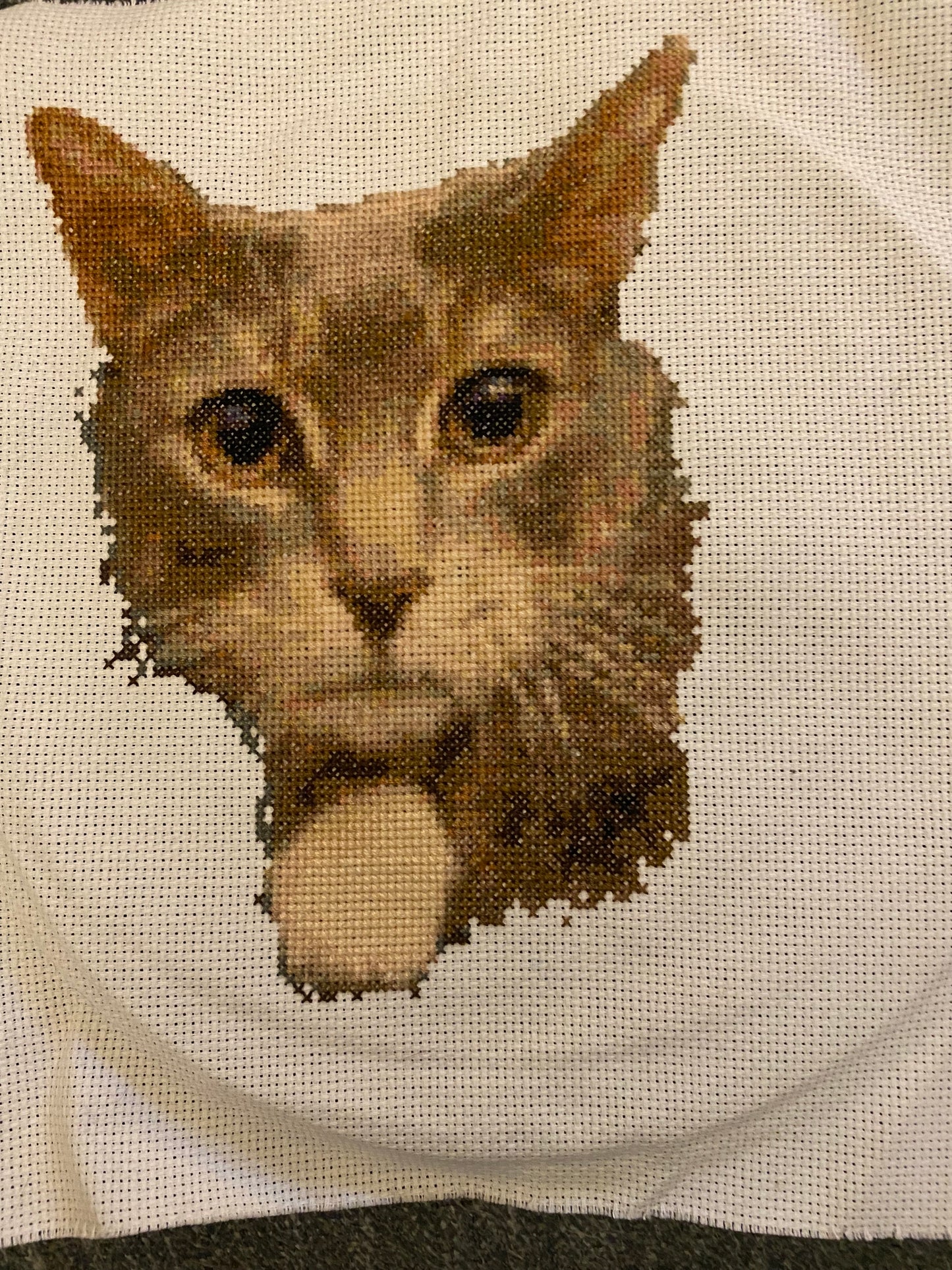 Pet Portrait Preorder