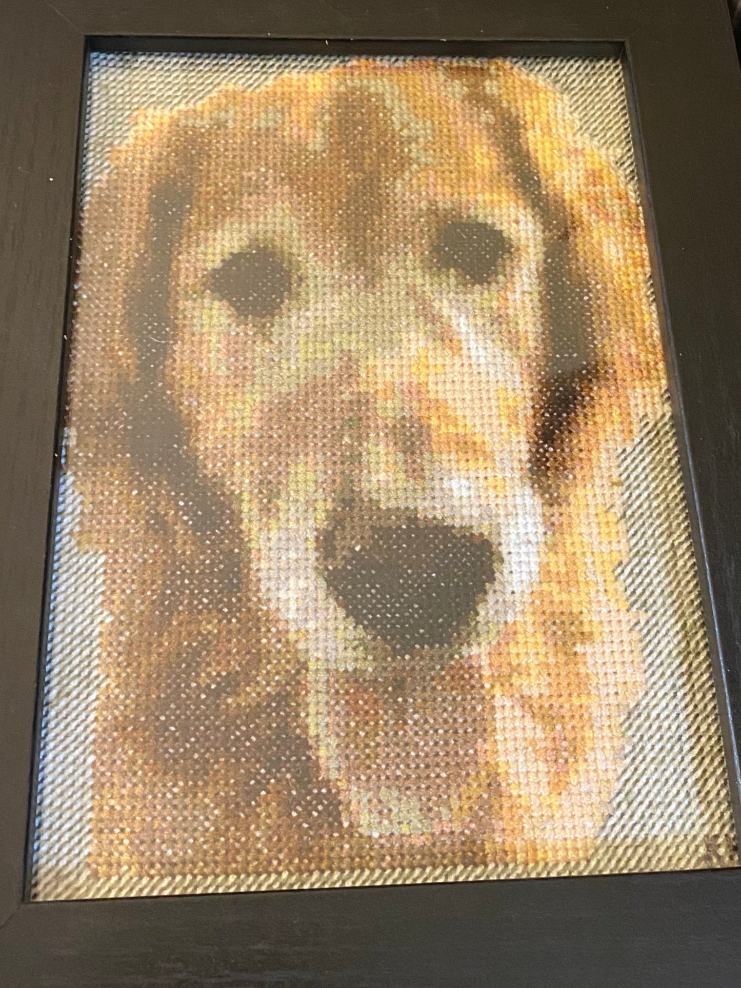 Pet Portrait Preorder