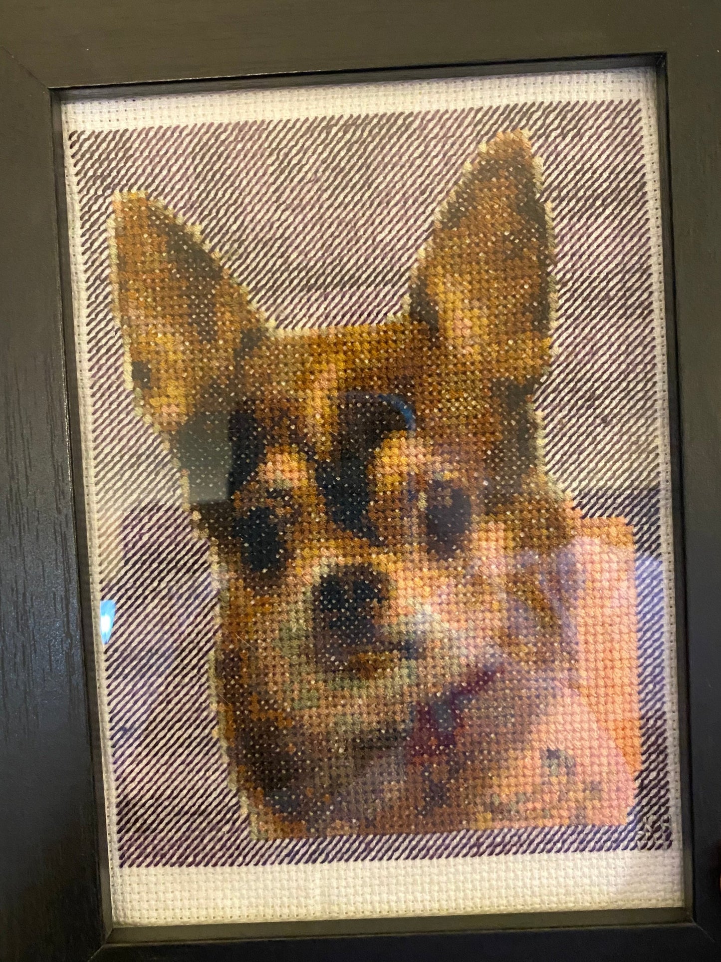 Pet Portrait Preorder