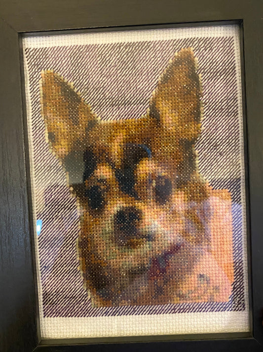 Pet Portrait Preorder